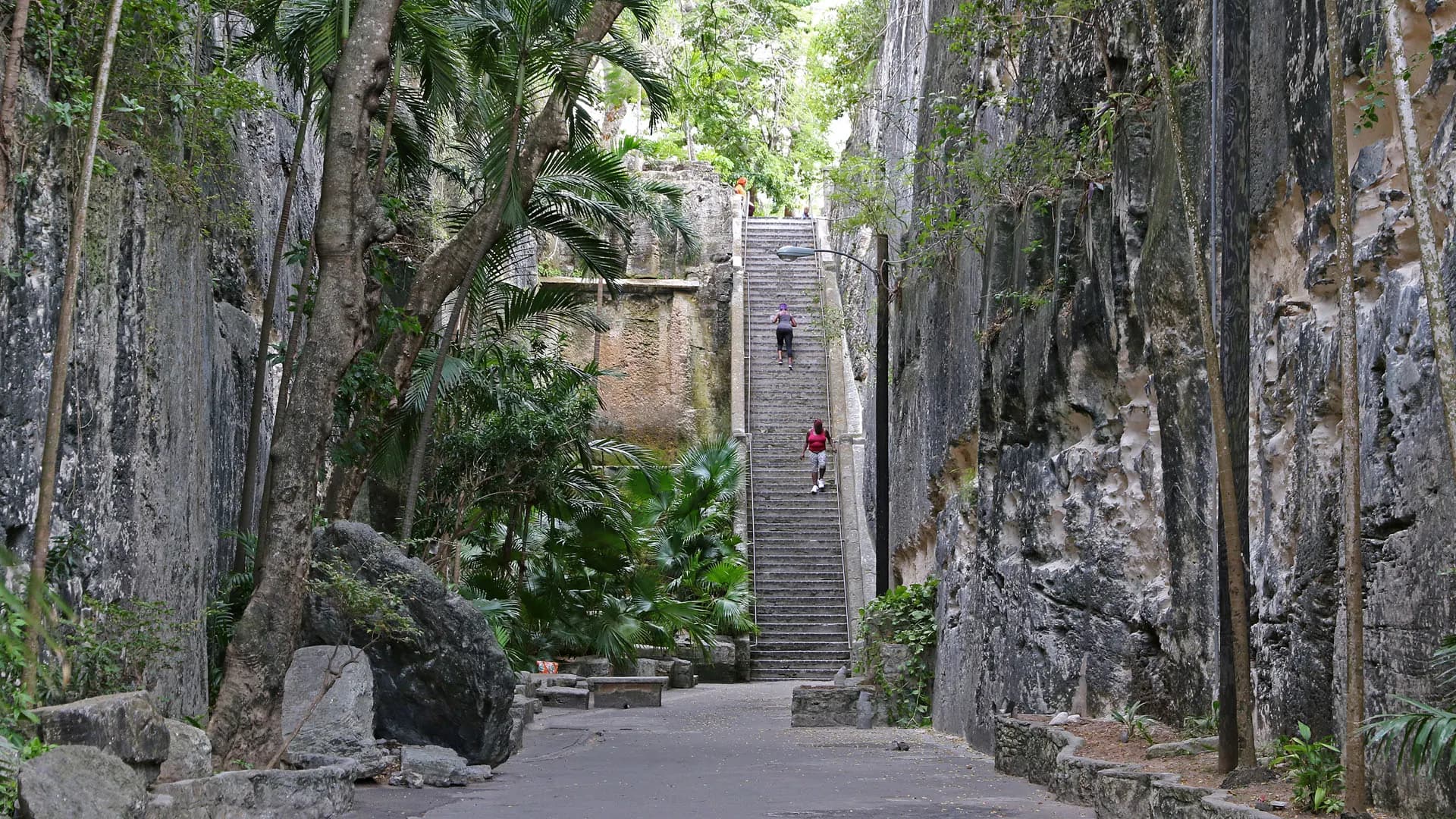 The Queen's Staircase, cut into limestone and shaded by palms, in Nassau